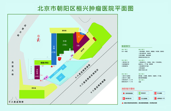 黄片操逼免费视频北京市朝阳区桓兴肿瘤医院平面图